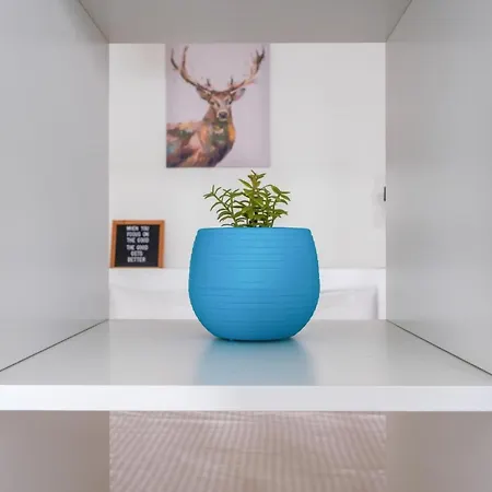 Furnis Apartman *